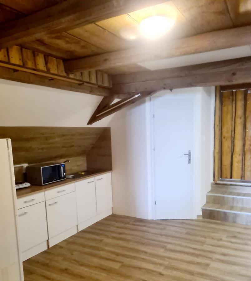 Penzion Ostrov U Stribra 13 Kostelec (Tachov) Exterior foto